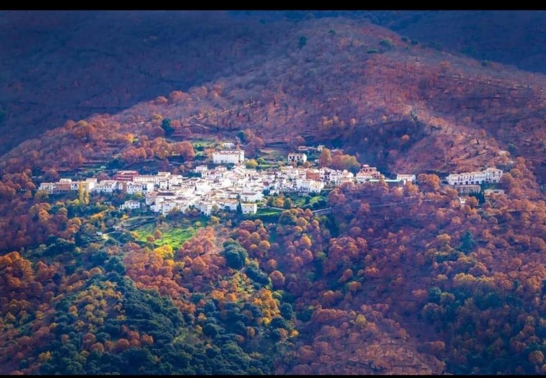 Casa Rural "La Casita" Pujerra Екстериор снимка